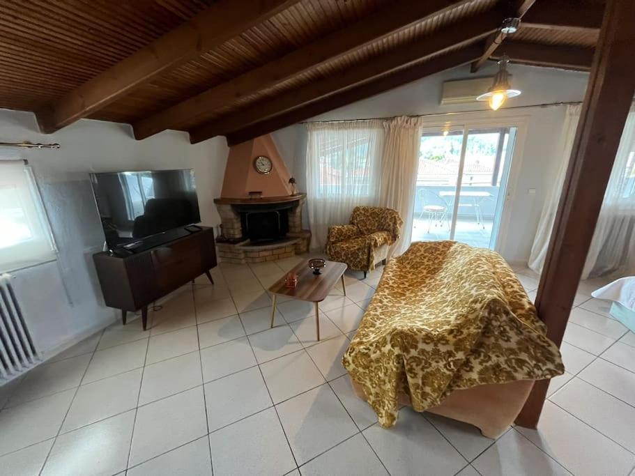 Attic With A View Apartment *